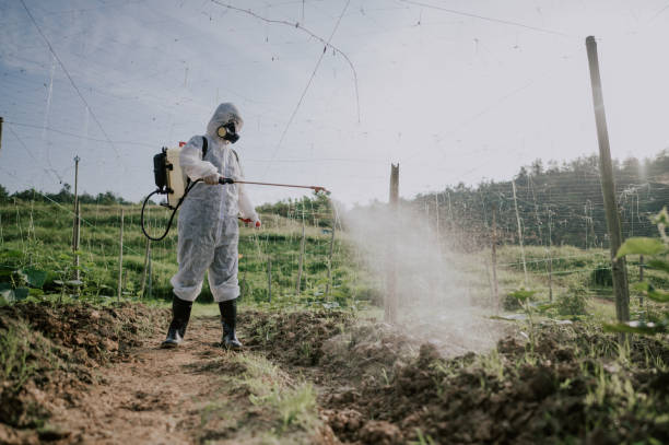 Best Pest Control Treatment  in Baker, MT