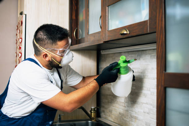 Flea Control Services in Baker, MT