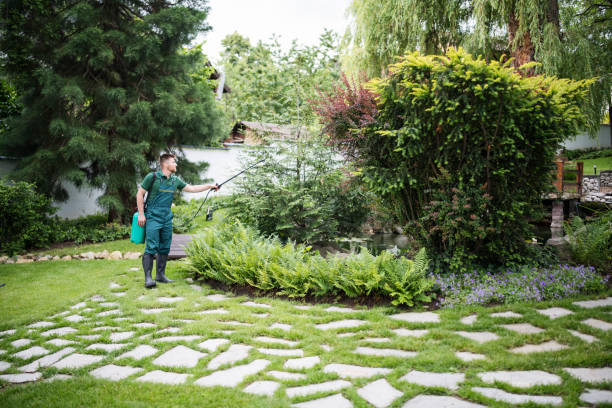 Best Best Pest Control Companies  in Baker, MT