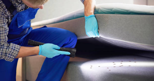 Best Flea Control Services  in Baker, MT