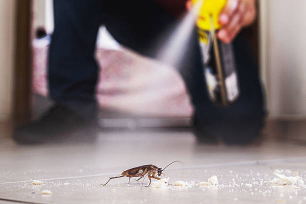 Best Emergency Pest Control  in Baker, MT