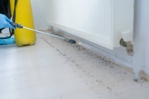 Best Exterminator Services  in Baker, MT