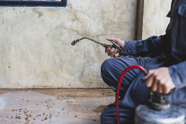 Best Wasp Removal Services  in Baker, MT