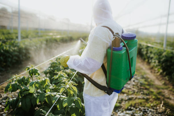 Trusted Baker, MT Pest Control Experts